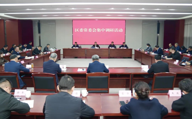 區委常委會集中調研灣鎮一體化發展